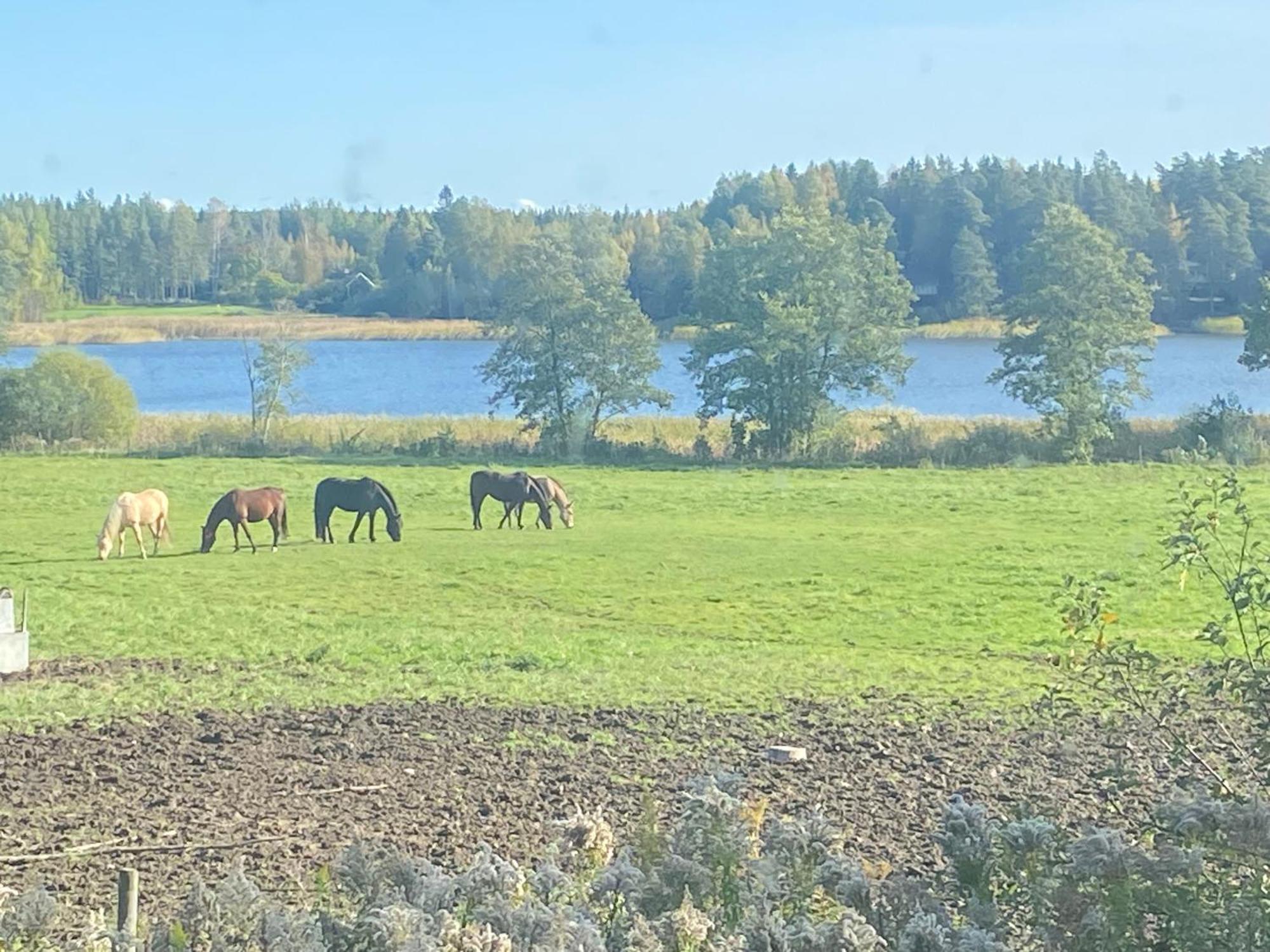 Ulvsby Ranch Western Camp Karlstad Eksteriør bilde
