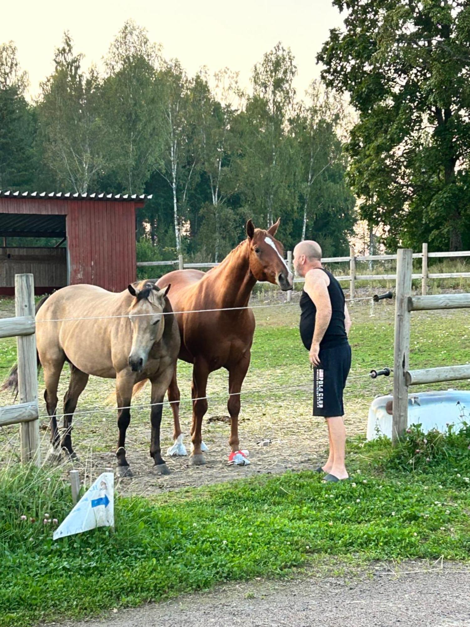 Ulvsby Ranch Western Camp Karlstad Eksteriør bilde