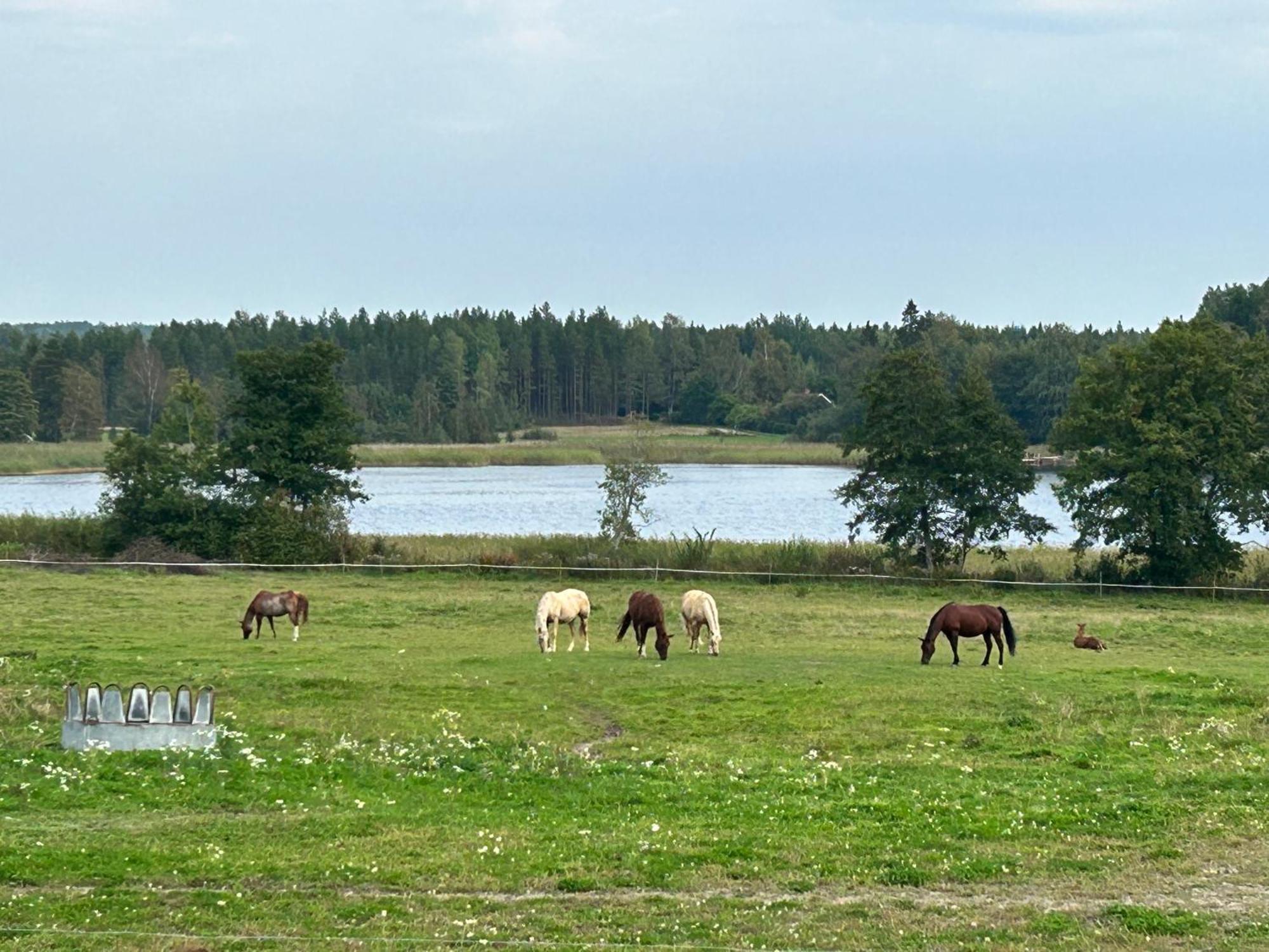 Ulvsby Ranch Western Camp Karlstad Eksteriør bilde